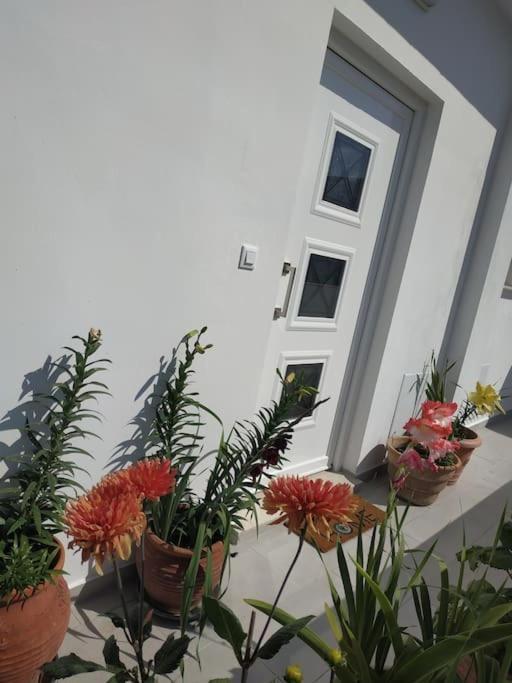 Appartamento Restaurant Maria Sunrise *